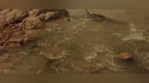 ☠ У ХОЛМОВ ЕСТЬ ГЛАЗА_2006г.