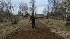 Пчеловодство. Медоносная база. Посадка фацелии от А до Я! #пчеловодство #фацелия #пчёлы #медоносы