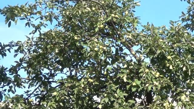 Лето 2012 смотреть онлайн