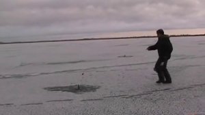 А я не поехал.....avi