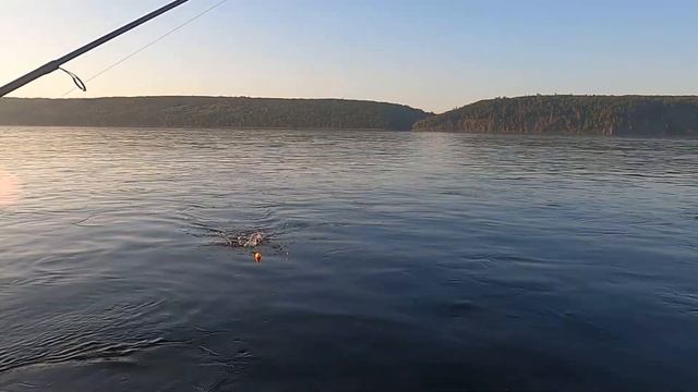 Поездка на Ангару. Тиролька или балда, что больше поймает? Рыбалка на хариуса