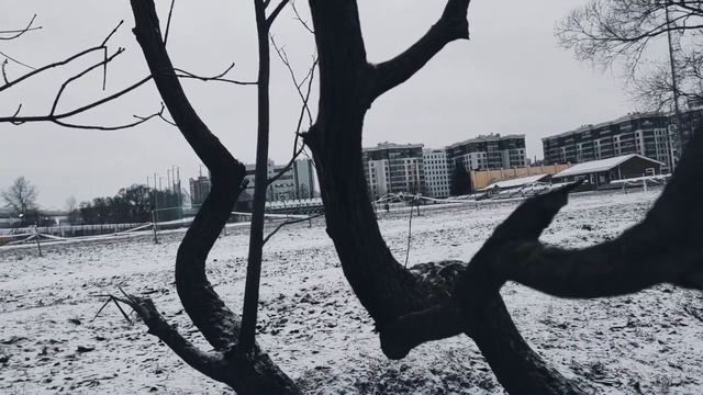 VID 20230327 070050 Психея! Бедная моя...1921 (В. Ходасевич)...Павел Васильев Лахтинский смотреть онлайн