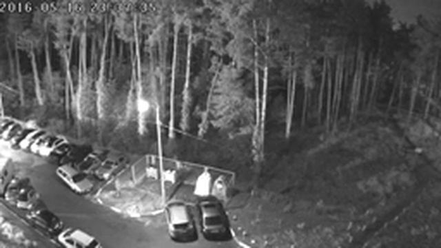 Прямая трансляция лесного массива на правом берегу реки Стугна г. Украинка смотреть онлайн