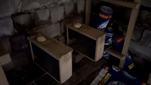 Формирую новые семьи в сентябре