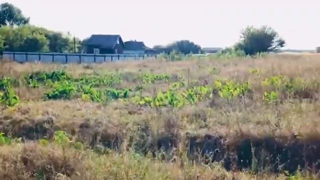 Земельный участок 20соток,д Жеребцово, Курская область смотреть онлайн