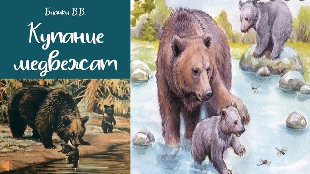 Сказки В.Бианки "Купание медвежат"