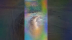 Просто показала свой зад