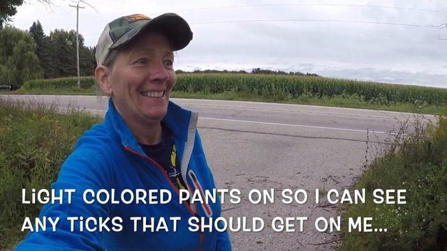 MilkWeed Plant смотреть онлайн