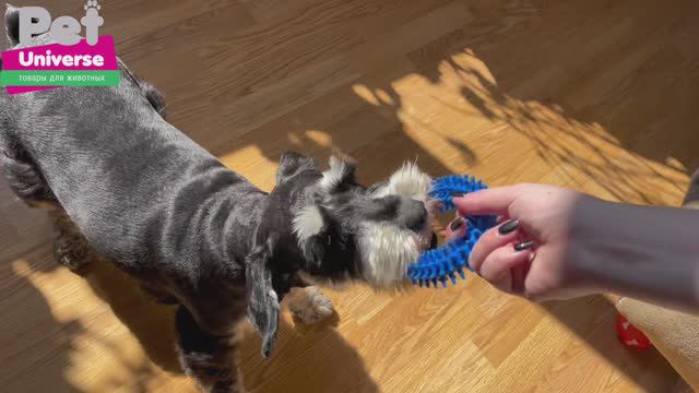 PU3019BE Игрушка для собак Pet Universe Кольцо-кусалка с шипами, диаметр 10 см смотреть онлайн