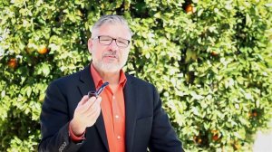 Wise Words - Mr. Brog #31 Plum Pipe