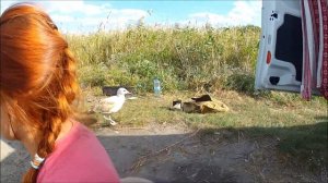 Клёвое место. Самарские плавни-2.