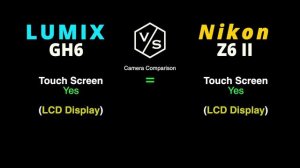 Panasonic LUMIX GH6 vs Nikon Z6 Mark II