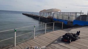 Одесса 28 декабря 2023. ПРИШЛИ В АРКАДИЮ! ЧТО ПРОИСХОДИТ У МОРЯ!