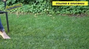 газон на даче своими руками для ленивых