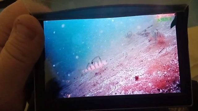 5 ахд с внешним светом, 5 м. глубина, Яузское водохранилище