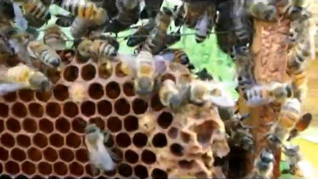 Выход матки смотреть онлайн