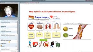 Холестирин  Правда и заблуждения