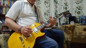 Гранитный Камушек/Cover LP/Божья коровка