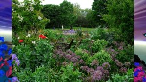 Классический Стиль Английского САДА //  English Garden  CLASSIC