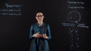 БИОЛОГИЯ 10 класс: Клеточная мембрана