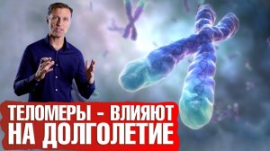 Как удлинить теломеры, жить дольше и остановить старение?🤷♀️