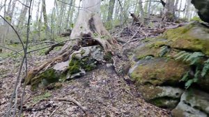 Чёртово городище. Козельск