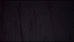 ТАРХ - Круговорот