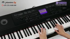 Пианино Casio Privia PX-5S vs Yamaha DGX 660