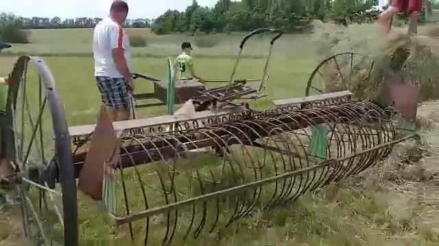 Заготовка сена пятидесятилетними конными граблями. Зелёный колодец 2020 смотреть онлайн