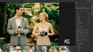 Photoshop Tutorials| Green and gold Wedding Photography Presets for photoshop