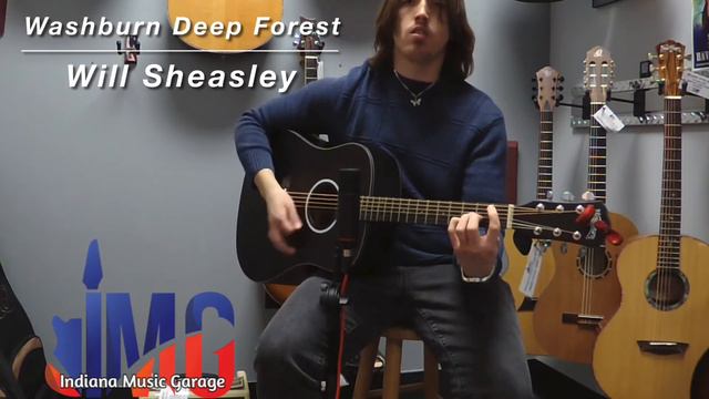 Washburn Deep Forest: Ebony смотреть онлайн