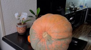 Как я сломала нож разрезая тыкву