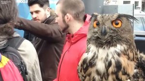 Факты про СОВУ, которых вам лучше не знать, и которые вас удивят