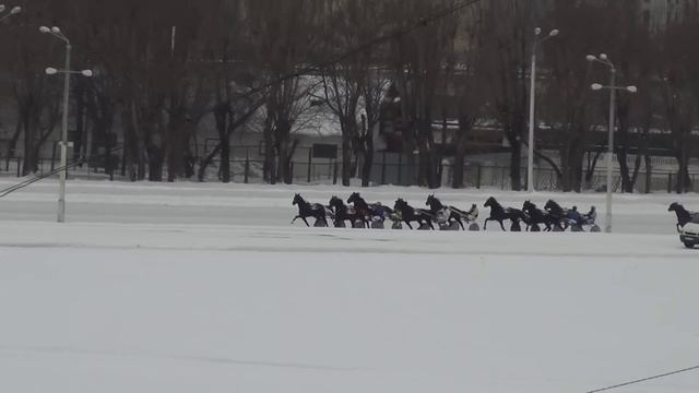 Московский ипподром. Бега. 25.12.16. Заезд 5(784) смотреть онлайн