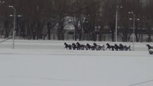 Московский ипподром. Бега. 25.12.16. Заезд 5(784)