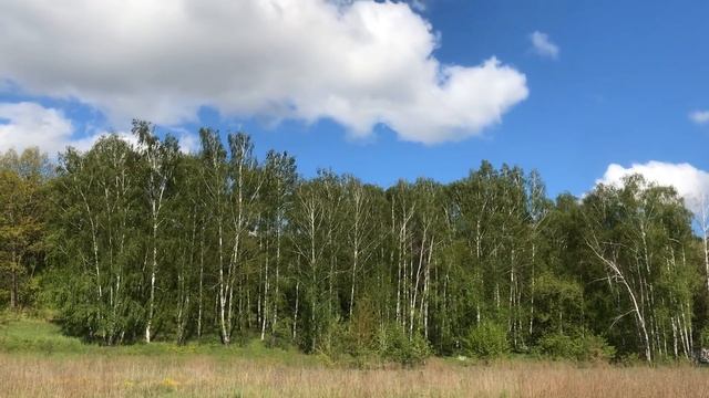 О, КАК ПРЕКРАСЕН ЭТОТ МИР ! СМОТРИ!  (Недозрелова Т.) СТИХИ О ГЛАВНОМ.