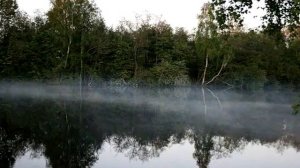 АНАТОЛИЙ ПОЛОТНО. " В КАРЕЛИИ СРЕДИНА ЛЕТА..." ( видеоклип)