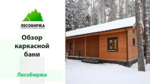 Обзор банного комплекса в Санкт-Петербурге