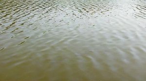 Озеро Карасун рядом со стадионом Кубань в Краснодаре/Новая набережная