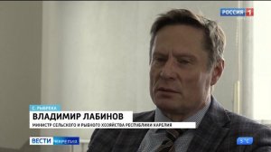 Какие квоты на вылов рыбы определены вепсам в этом году