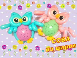 Сова из шаров. Мастер класс. Как сделать. Owl made of balloons. Balloons. DIY. Hand made. How make