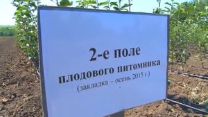 Опытная станция садоводства в Багаевке провела День открытых дверей