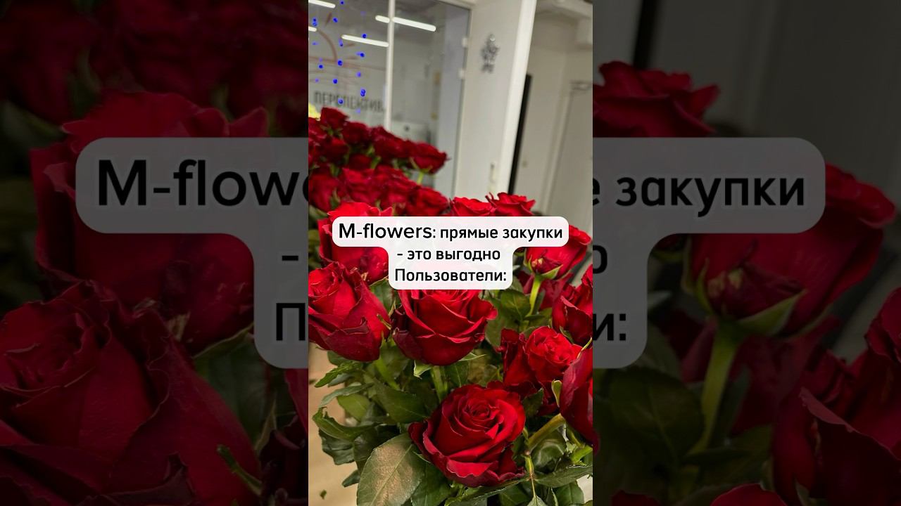Прямые покупки — это выгодно! #mflowers #цветочныйбизнес #цветыоптом #цветы