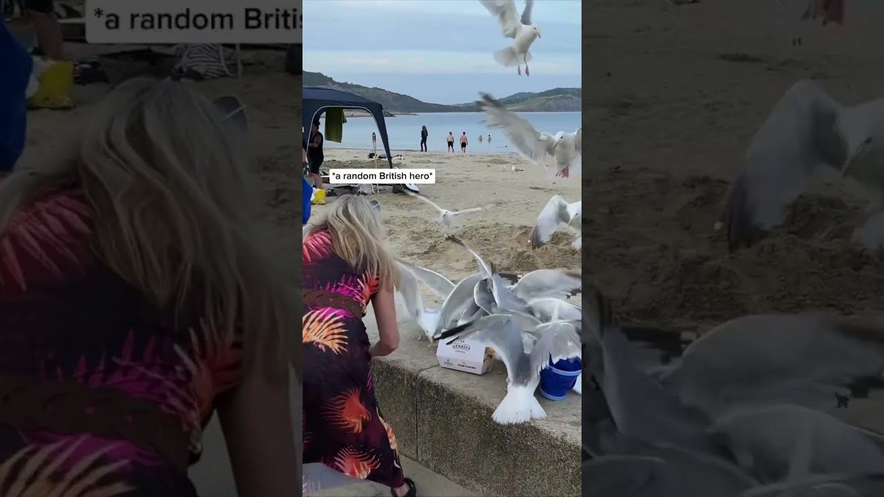 Туристка забыла спрятать картошку фри на пляже в Англии, и вот, что из этого вышло. смотреть онлайн