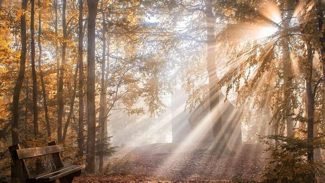 ...Ласковая осень... смотреть онлайн