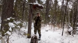 Ноябрь 2021 год ,  проверка путиков. Новый формат.