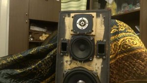 Впечатления от замены динамиков в 50ас-106 Вега