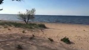 Азовское море. Небольшой обзор. Район посёлка Ачуево (2020 год)