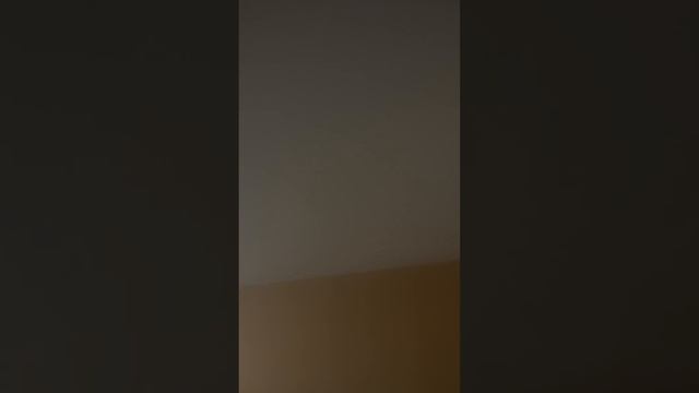 Натяжные потолки в Беловодске Квартира под ключ смотреть онлайн