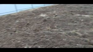 Выравнивание участка. Плуг или бульдозер.